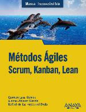 Métodos ágiles : Scrum, Kanban, Lean de Alonso . . . [et al. Álvarez García