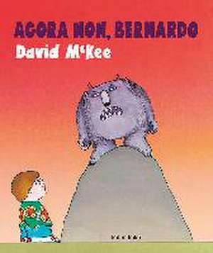 Agora non, Bernardo de David McKee