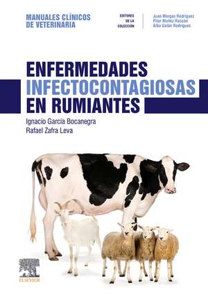 Enfermedades infectocontagiosas en rumiantes : manuales clínicos de veterinaria de Alba Galán Rodríguez