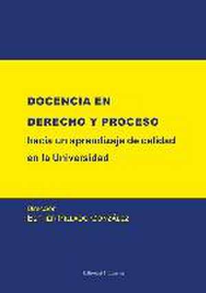 Docencia en Derecho y proceso : hacia un aprendizaje de calidad en la Universidad de Esther González Pillado