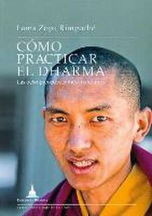 Cómo prácticar el dharma : las ocho preocupaciones mundanas de Rinpoche Thubten Zopa