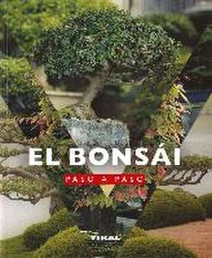 Jardinería Y Plantas. El bonsái paso a paso