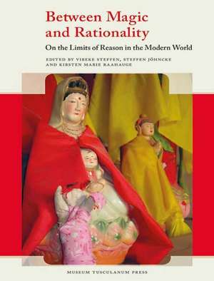 Between Magic & Rationality: On the Limits of Reason in the Modern World de Vibeke Steffen