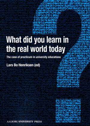 What Did You Learn in the Real World Today? de Lars Bo Henriksen