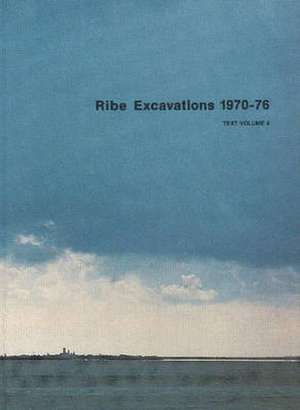 Ribe Excavations Vol 4 de Mogens Bencard