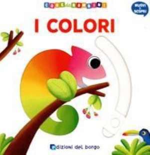 I colori de Deborah Forni