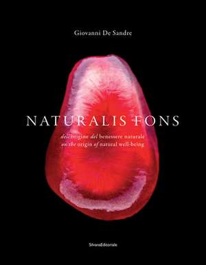 Naturalis fons de Giovanni De Sandre