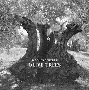 Jacques Berthet: Olive Trees de Jacques Berthet