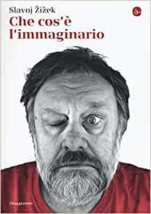 Che cos'è l'immaginario de Slavoj Zizek