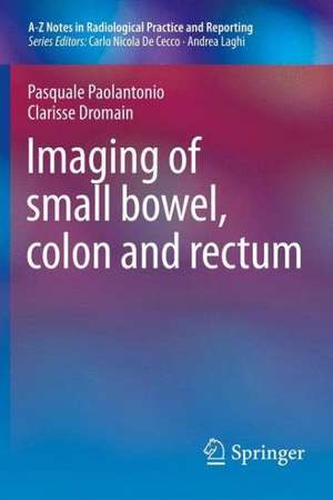 Imaging of Small Bowel, Colon and Rectum de Pasquale Paolantonio