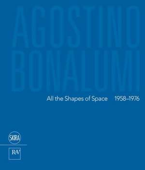 All the Shapes of Space 1958-1976: The Contemporary Era 1981-2013 de Edmondo di Robilant