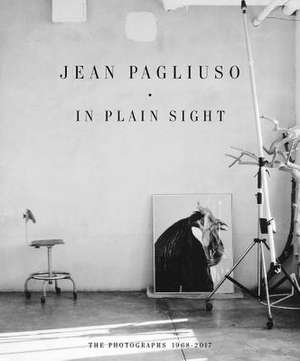 Jean Pagliuso: In Plain Sight de Jean Pagliuso