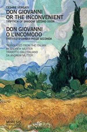 Don Giovanni or the Inconvenient de Cesare Vergati