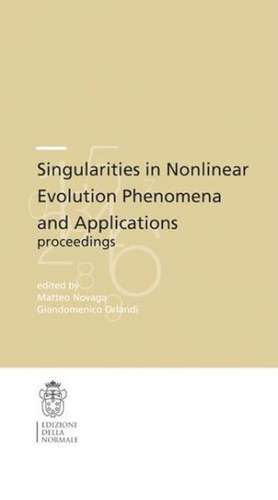 Singularities in nonlinear evolution phenomena and applications de Matteo Novaga