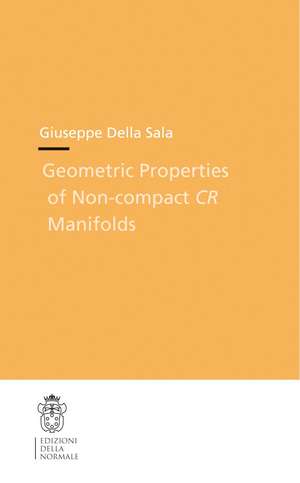 Geometric properties of non-compact CR manifolds de Giuseppe Sala