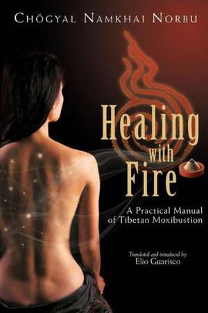 Healing with Fire de Norbu Namkhai