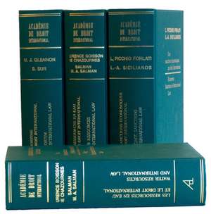 Rules and Institutions of International Humanitarian Law Put to the Test of Recent Armed Conflicts: Les règles et les institutions du droit international humanitaire à l’épreuve des conflits armés récents 2007 de Michael Matheson