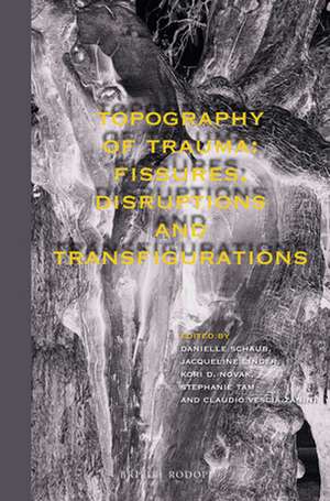 Topography of Trauma: Fissures, Disruptions and Transfigurations de Danielle Schaub