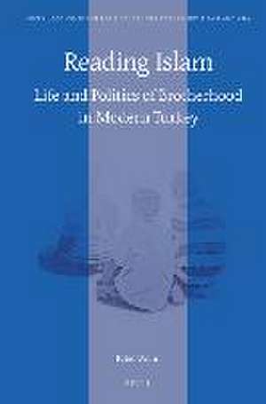 Reading Islam: Life and Politics of Brotherhood in Modern Turkey de Fabio Vicini