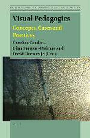 Visual Pedagogies de Carolina Cambre