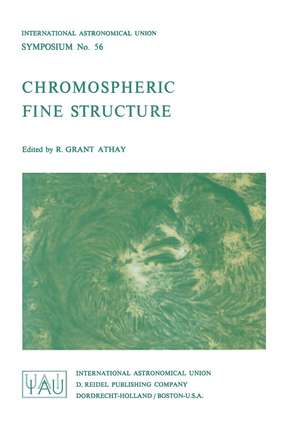 Chromospheric Fine Structure de R.G. Athay