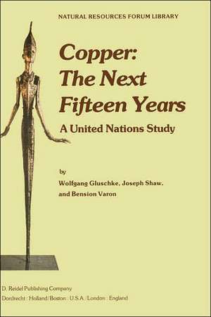 Copper: The Next Fifteen Years: A United Nations Study de W. Gluschke