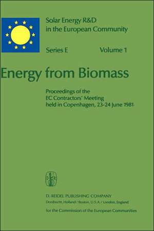 Energy from Biomass: Proceedings of the EC Contractors’ Meeting held in Copenhagen, 23–24 June 1981 de P. Chartier