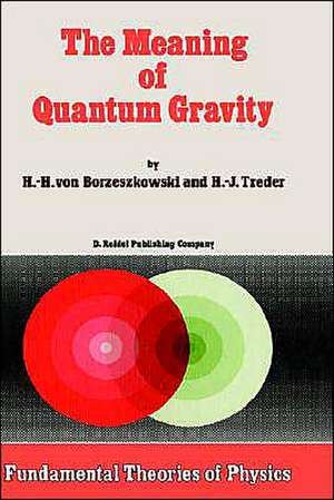 The Meaning of Quantum Gravity de Horst-Heino Borzeszkowski