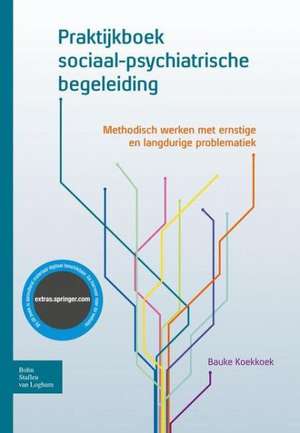 Praktijkboek sociaal-psychiatrische begeleiding: Methodisch werken met ernstige en langdurige problematiek de Bauke Koekkoek