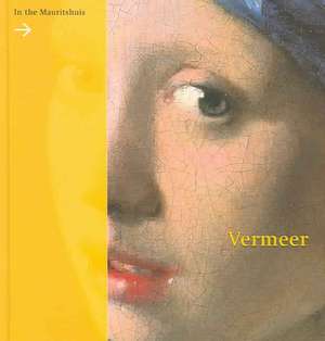 Vermeer in Mauritshuis