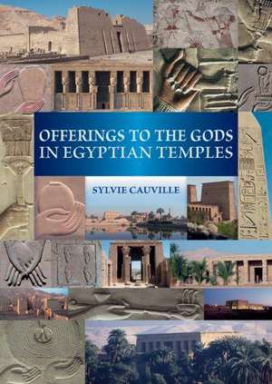 Offerings to the Gods in Egyptian Temples de S. Cauville