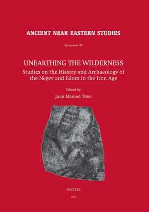 Unearthing the Wilderness: Studies on the History and Archaeology of the Negev and Edom in the Iron Age de Jm Tebes