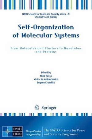 Self-Organization of Molecular Systems: From Molecules and Clusters to Nanotubes and Proteins de Nino Russo