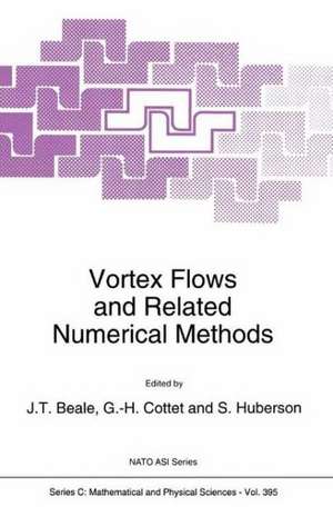 Vortex Flows and Related Numerical Methods de J.T. Beale