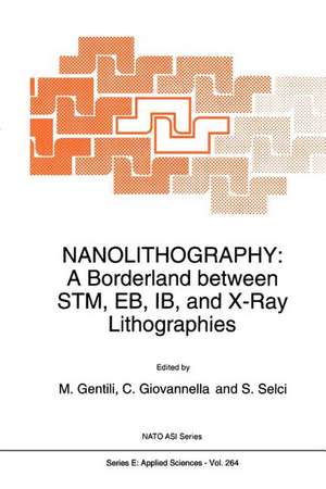 Nanolithography: A Borderland between STM, EB, IB, and X-Ray Lithographies de M. Gentili