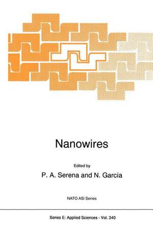 Nanowires de P.A. Serena