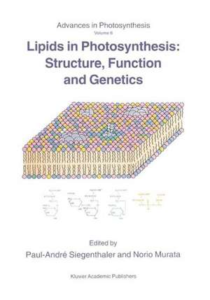 Lipids in Photosynthesis: Structure, Function and Genetics de Paul-André Siegenthaler