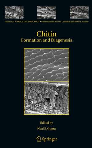 Chitin: Formation and Diagenesis de Neal S. Gupta