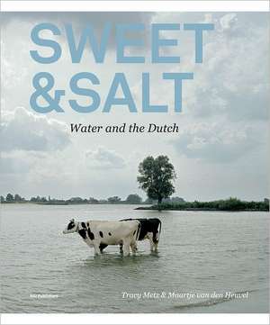 Sweet & Salt: Water and the Dutch de Tracy Metz