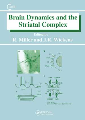 Brain Dynamics and the Striatal Complex de Robert Miller