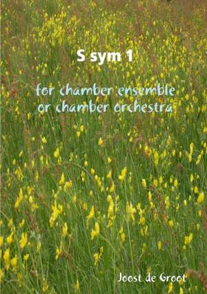 S sym 1 for chamber ensemble or chamber orchestra de Joost de Groot