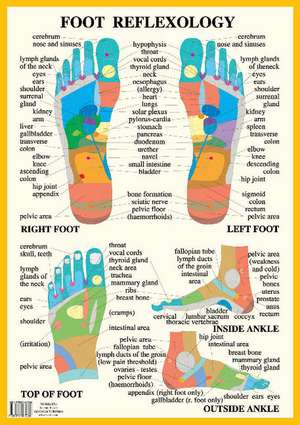 Foot Reflexology -- A2 de Jan van Baarle
