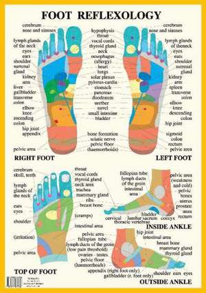 Foot Reflexology de Jan Baarle