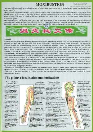 Moxibustion -- Laminated Folded A4 de Jan van Baarle