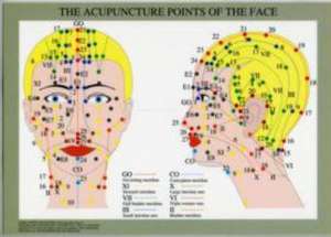 Acupuncture Points of the Face -- A4 de Jan van Baarle