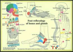 Foot Reflexology of Bones & Glands -- A4 de Jan van Baarle