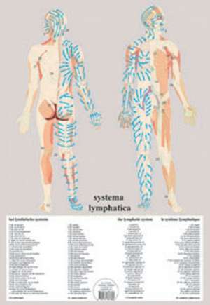 Baarle, J: Systema Lymphatica de Jan van Baarle