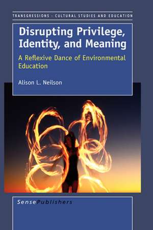 Disrupting Privilige, Identity, and Meaning de Alison Neilson