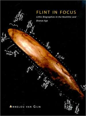 Flint in Focus: Lithic Biographies in the Neolithic and Bronze Age de Annelou Van Gijn