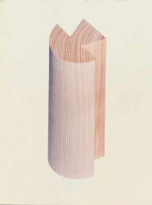 Objects in Dialogue de Shane Schneck